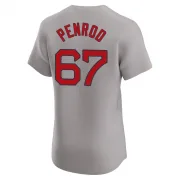 Gray Elite Zach Penrod Men's Boston Red Road Jersey