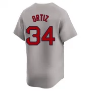 Gray Limited David Ortiz Youth Boston Red Away Jersey